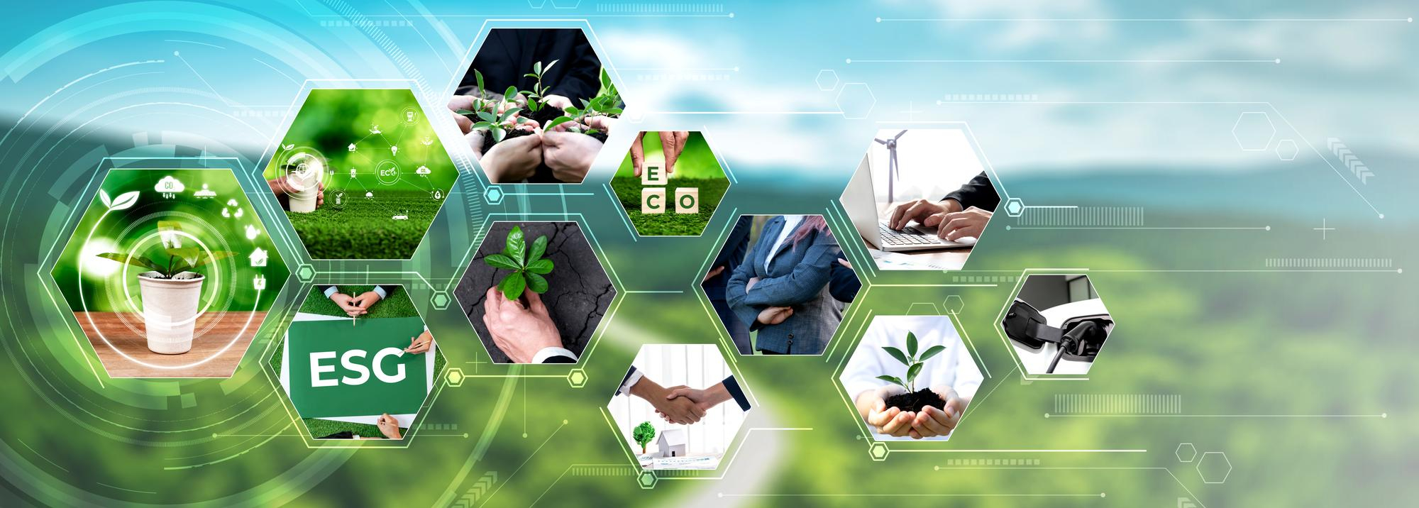 Sustainability at SDV Partners